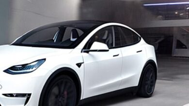 Gifts For Tesla Model Y Owners